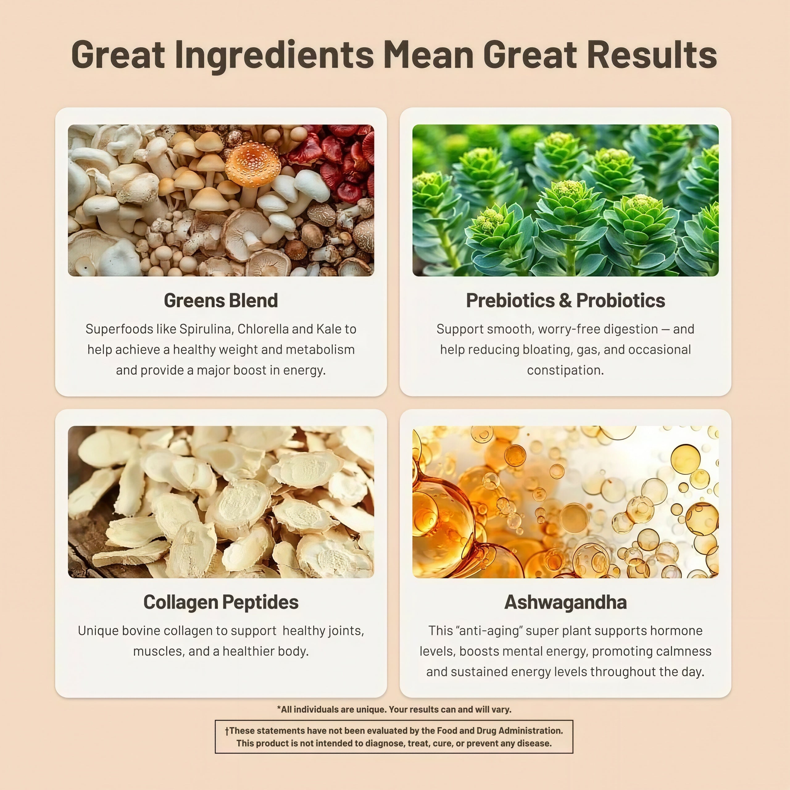 Roundhouse Morning Kick Provisions Zero Sugar Greens Superfood Powder